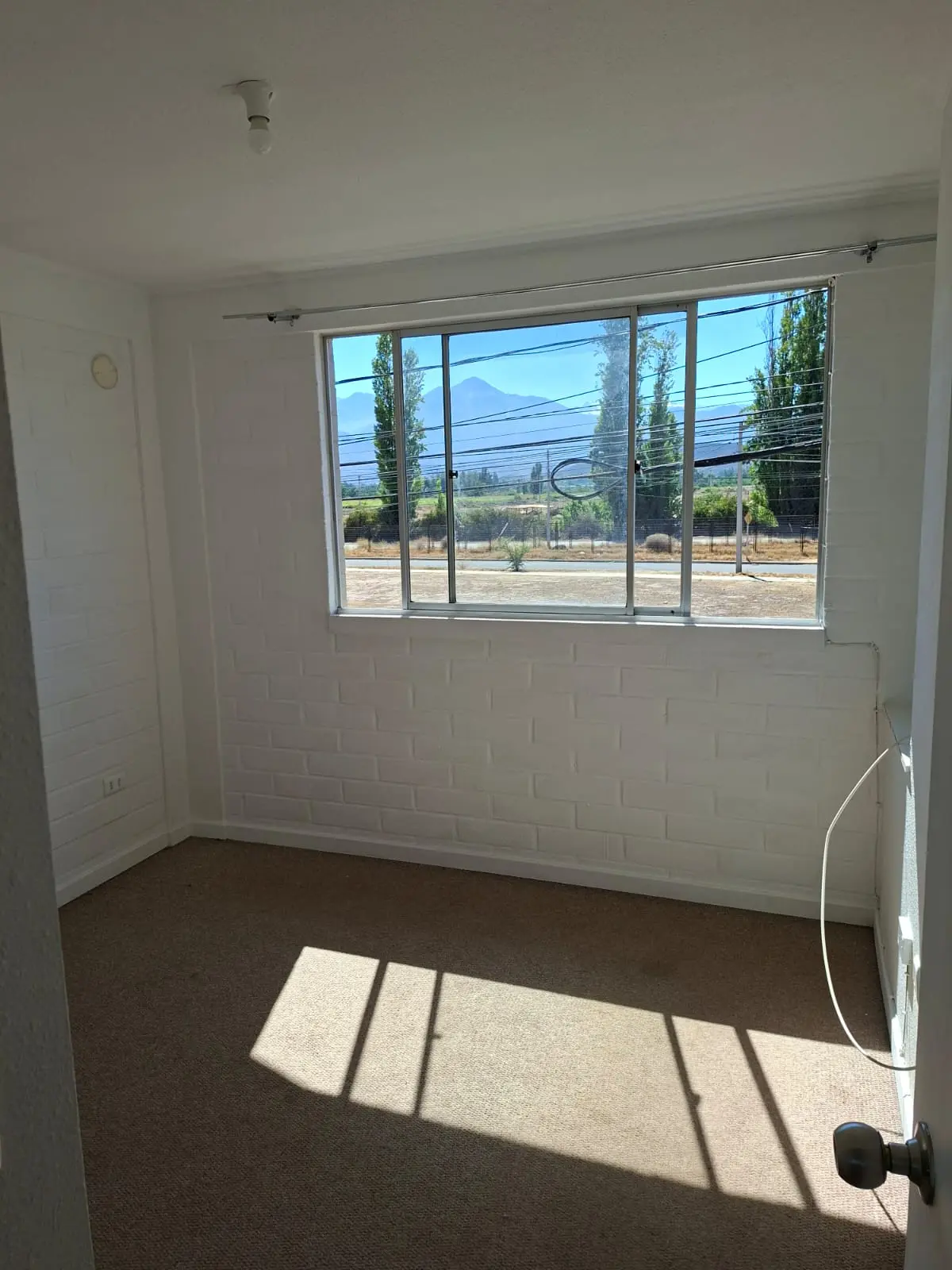 WhatsApp Image 2026-01-12 at 10.48.14 (1) (1)